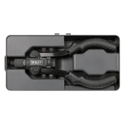 Sealey 2-in-1 Heavy-Duty Compact Riveter 10 Sealey 2-in-1 Heavy-Duty Compact Riveter -Bodyshop Store AK3989 IN CASE STRAIGHT DFC0959748